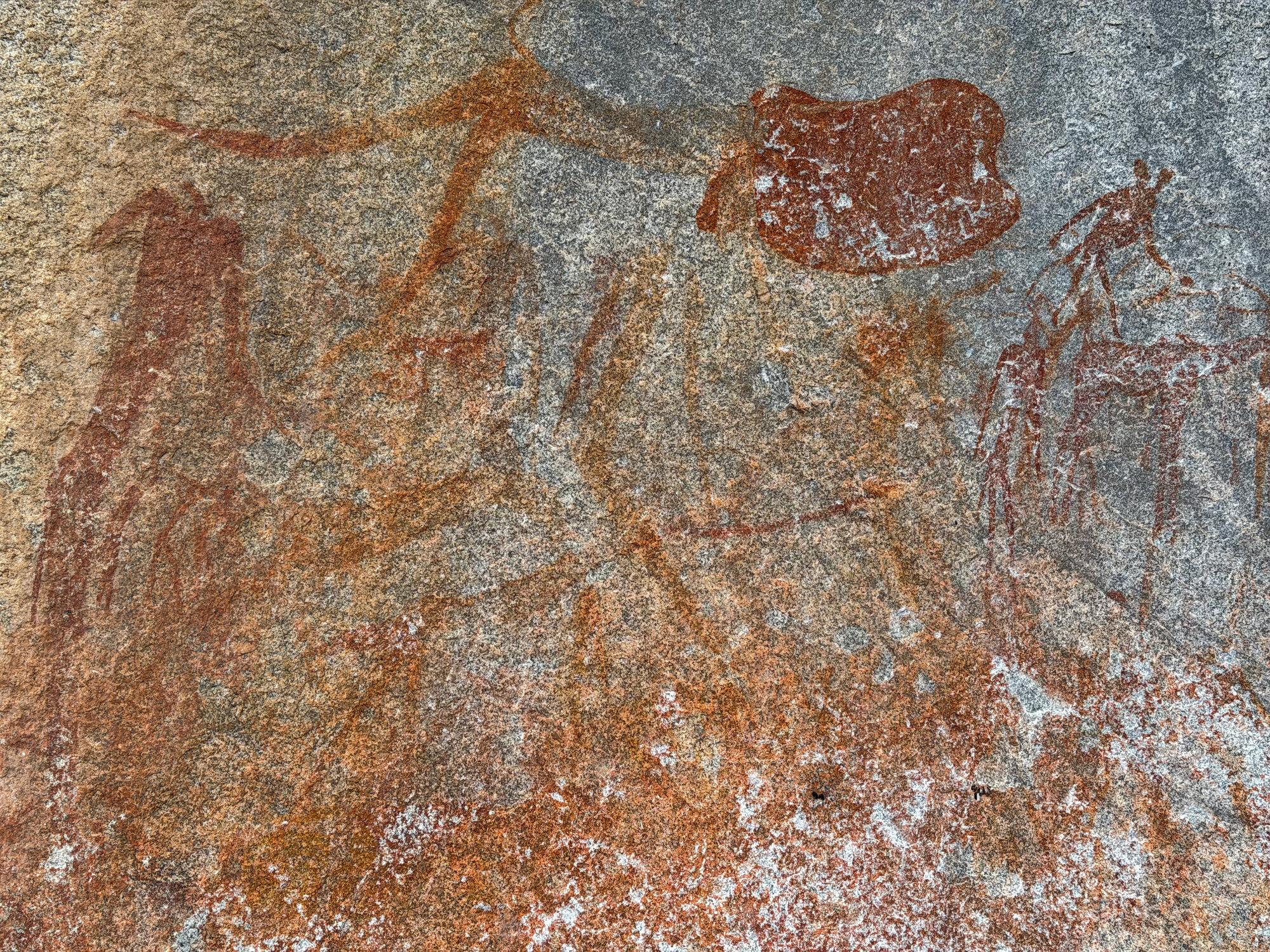 2028 D2 005 (Gulubahwe) 2026-7-26_027
