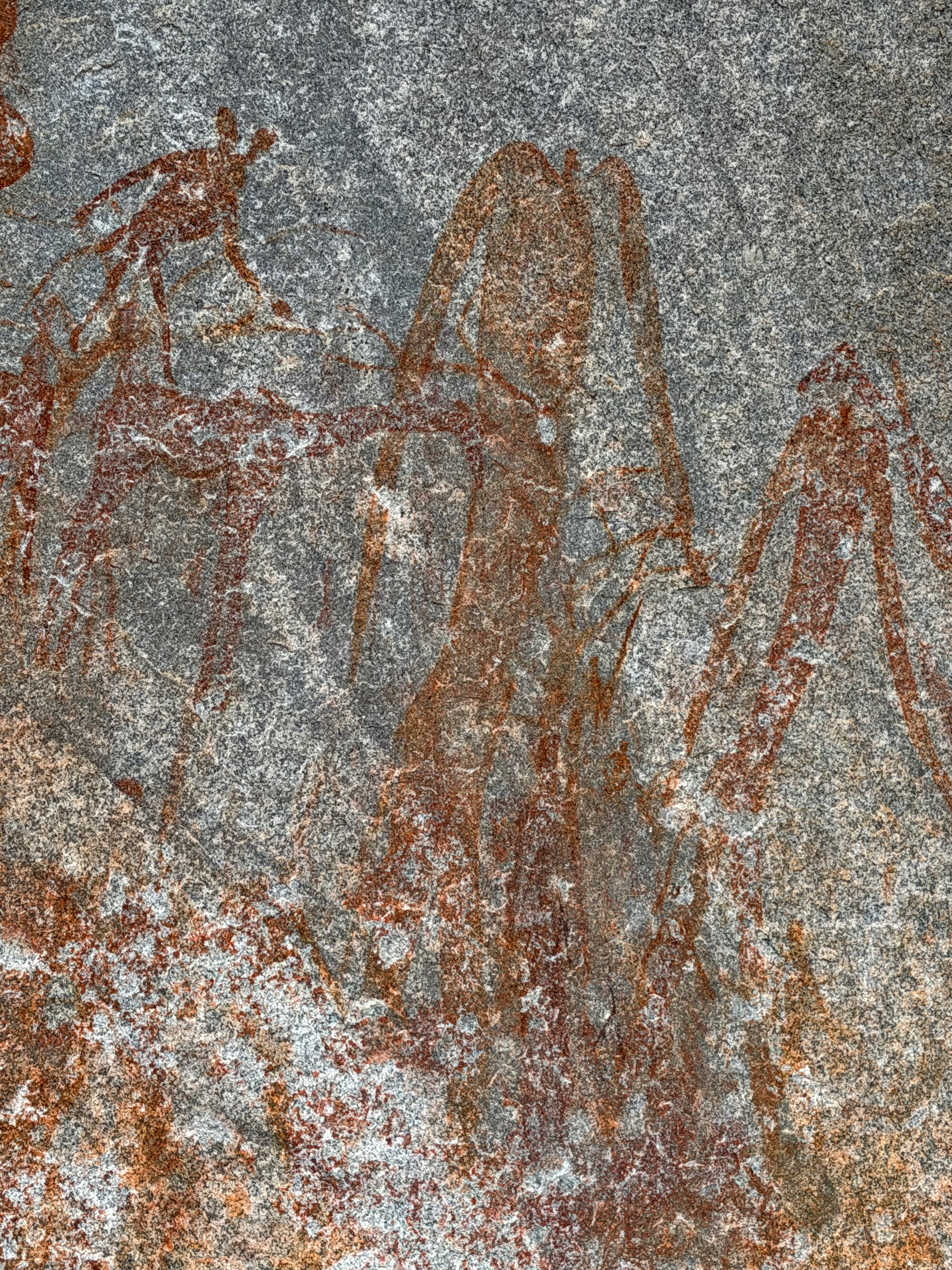 2028 D2 005 (Gulubahwe) 2026-7-26_029