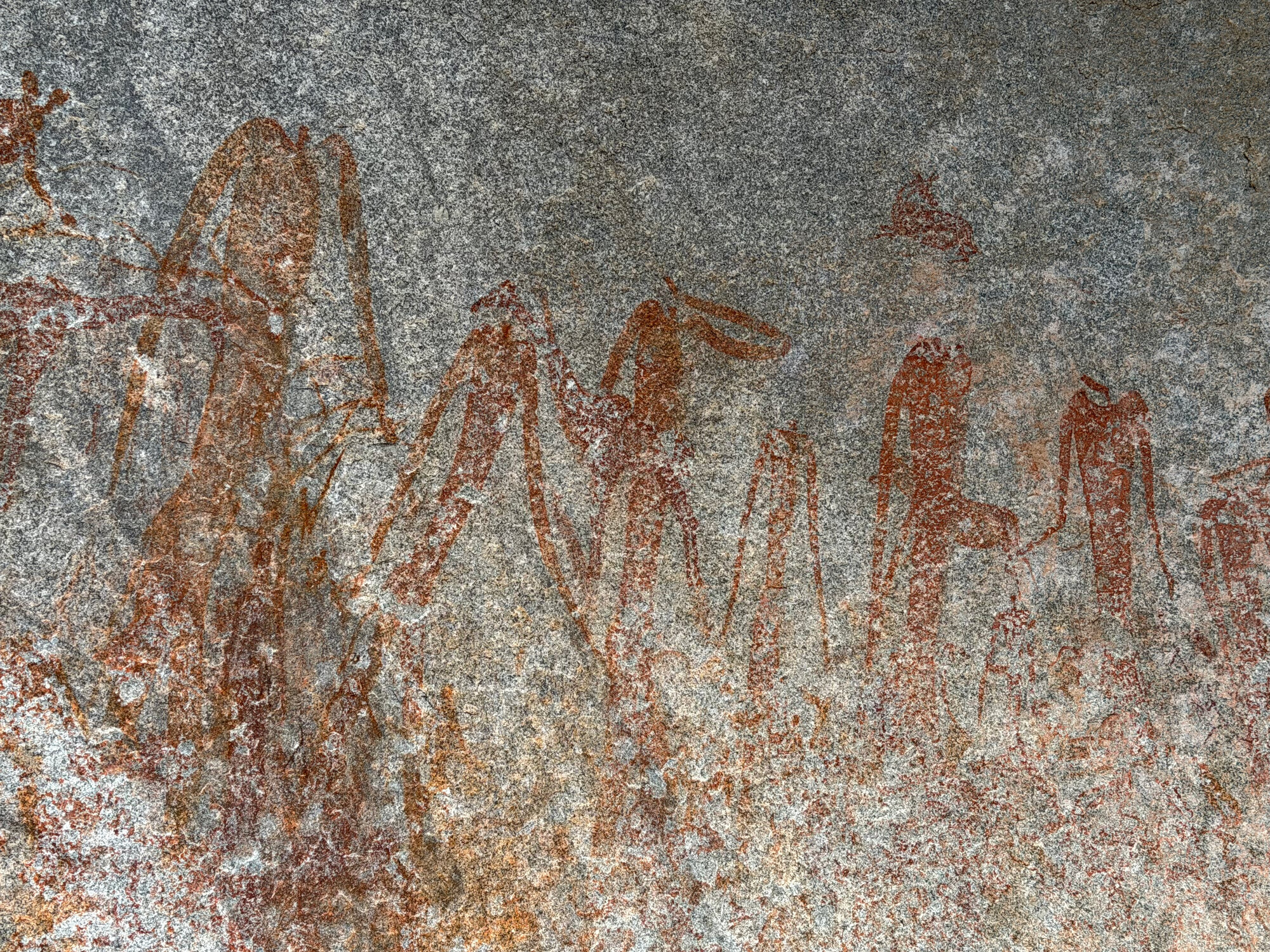 2028 D2 005 (Gulubahwe) 2026-7-26_030