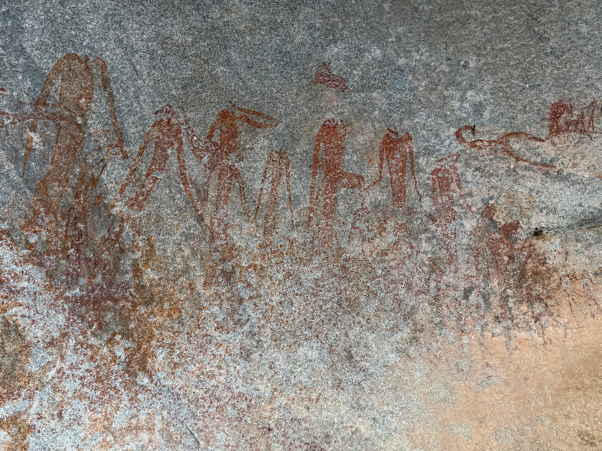 2028 D2 005 (Gulubahwe) 2026-7-26_035