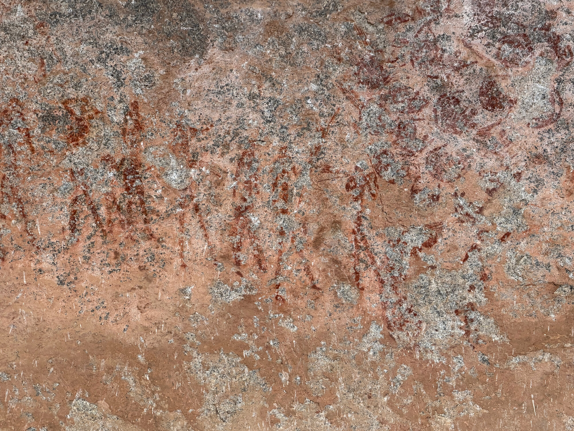2028 D2 005 (Gulubahwe) 2026-7-26_037