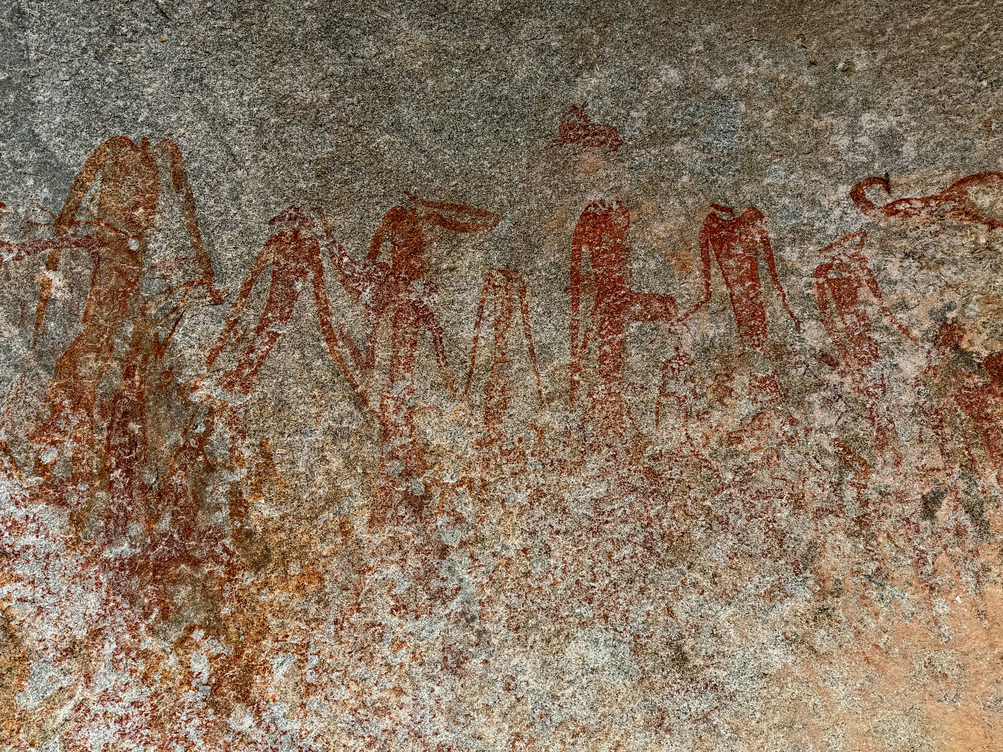 2028 D2 005 (Gulubahwe) 2026-7-26_056