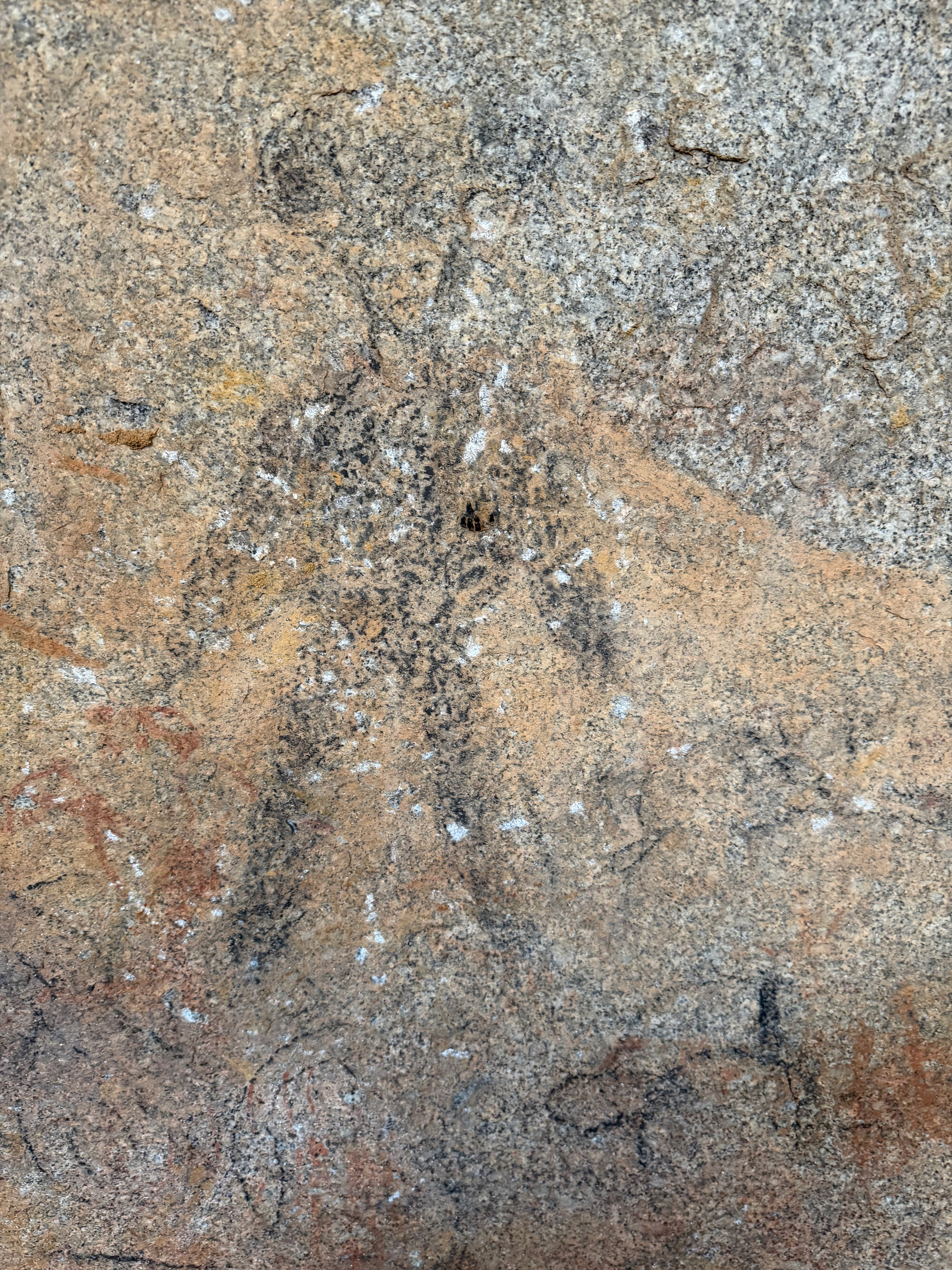 2028 xx xxx (Cave 360) 2026-7-26_024
