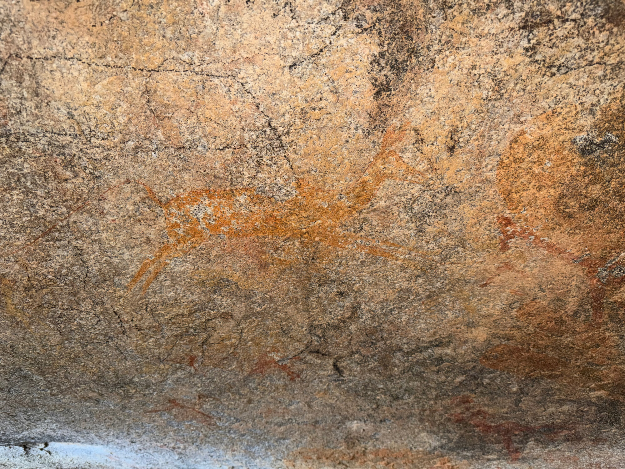 2028 xx xxx (Cave 360) 2026-7-26_031