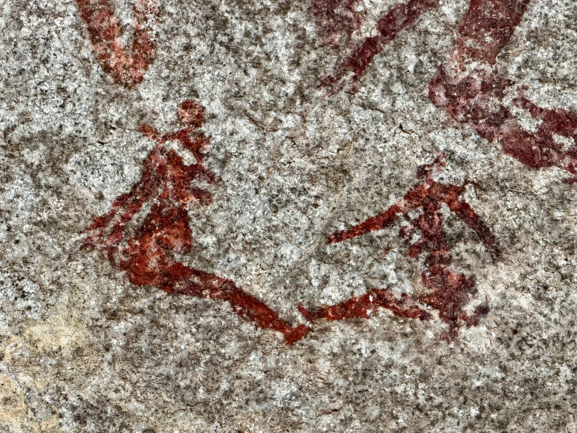 2028 D1 001 (Silozwane) 2026-7-27_051