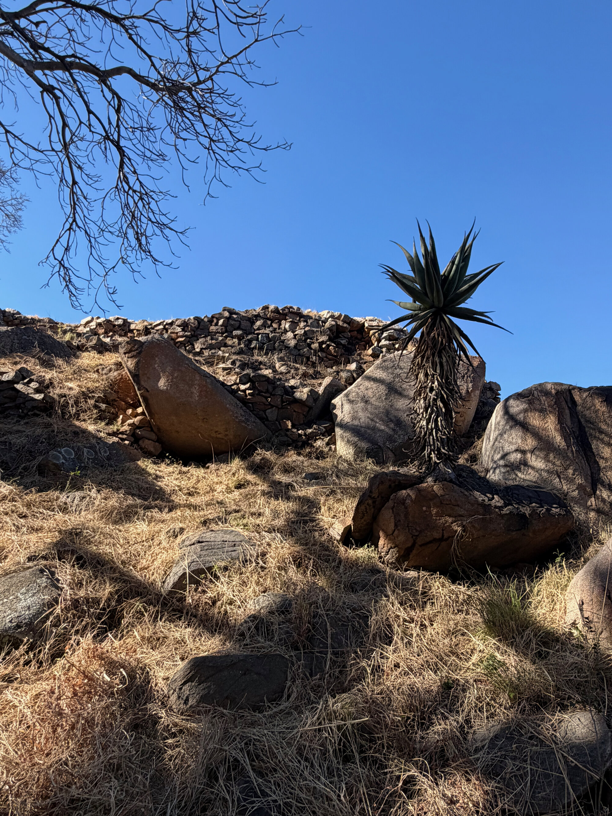 2028 A2 G001 (Khami Ruins) 2026-7-27_014