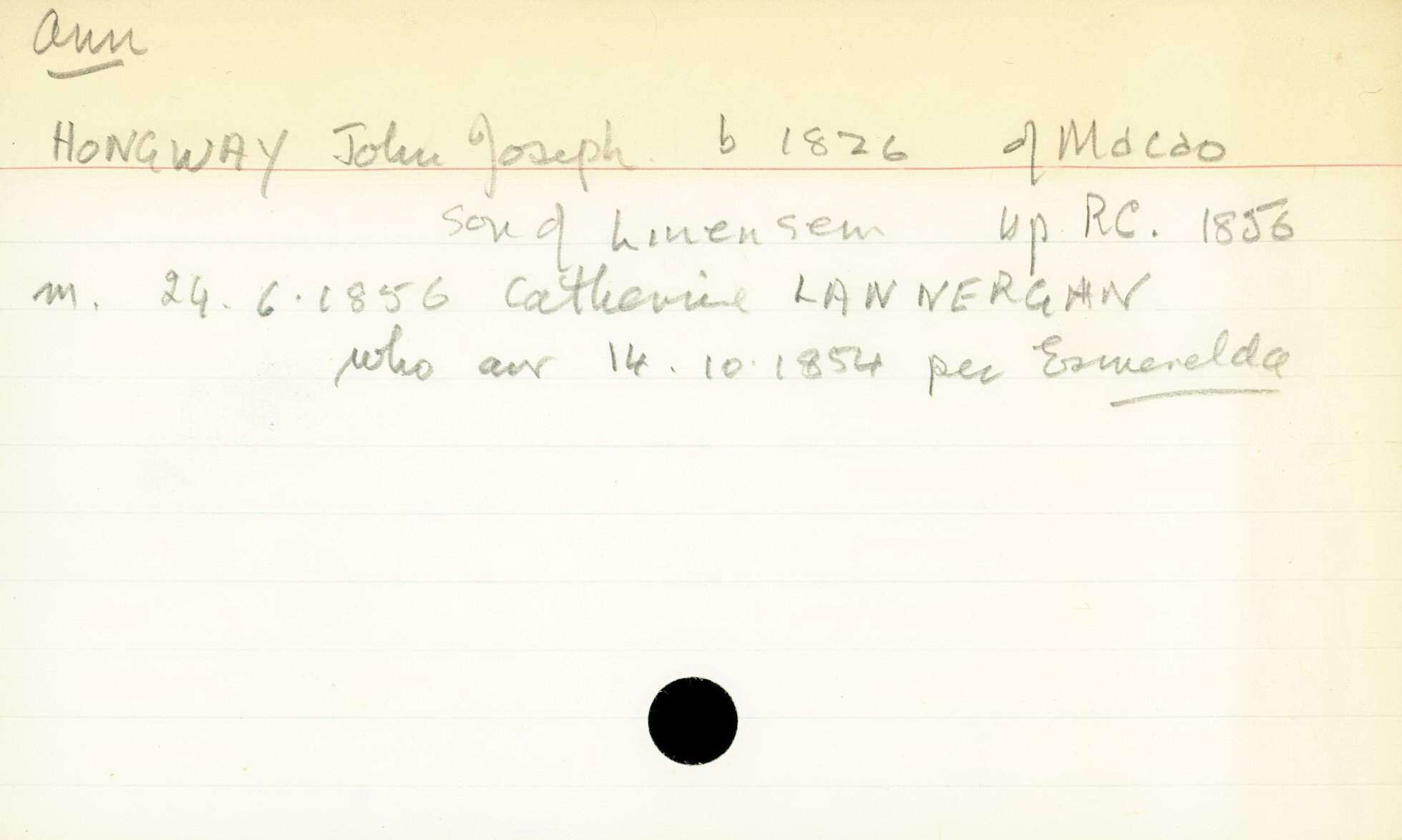 Box-007-Sorb-Box-0237