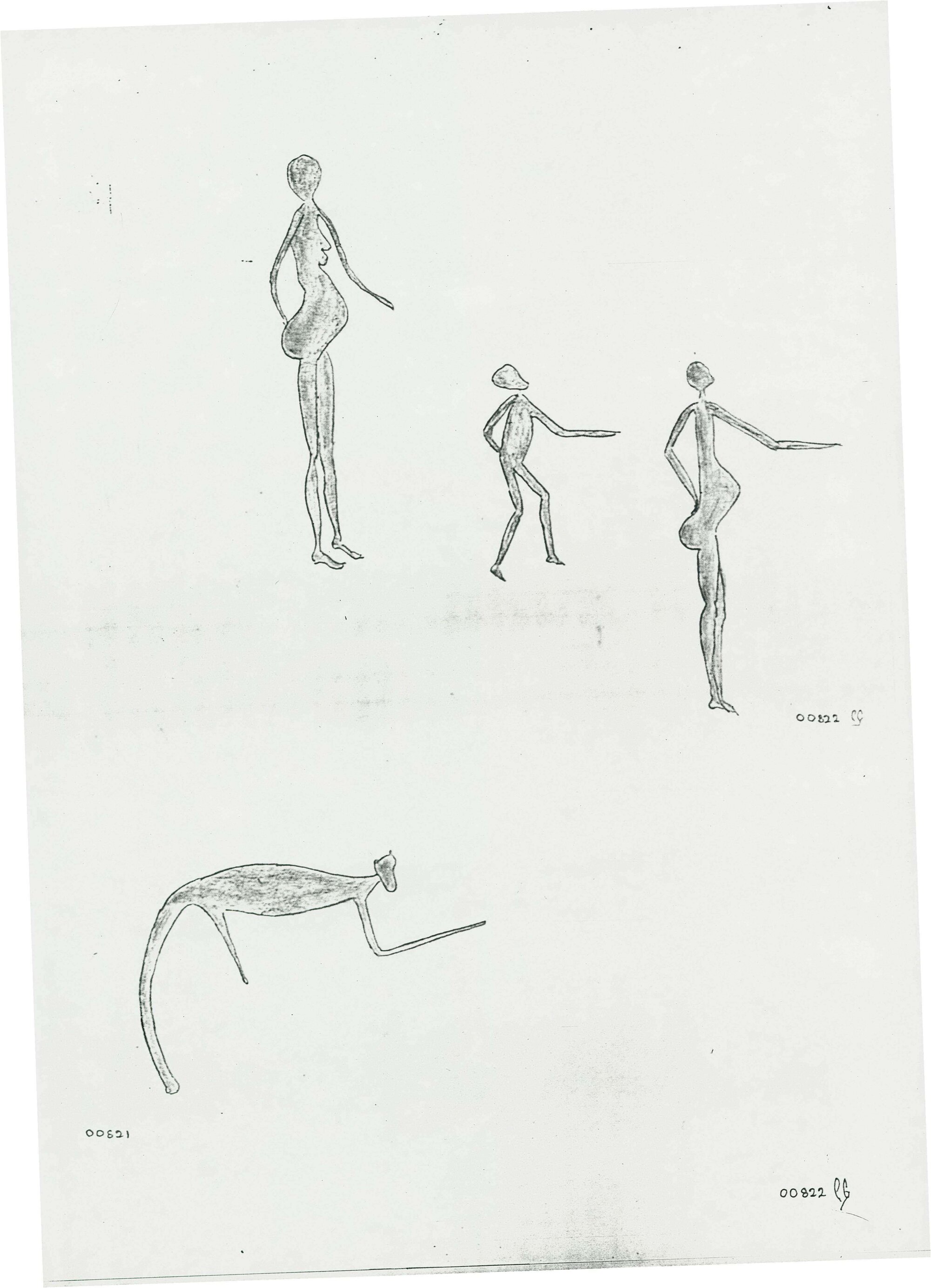 Illustrations_From_Field_Book001_0100