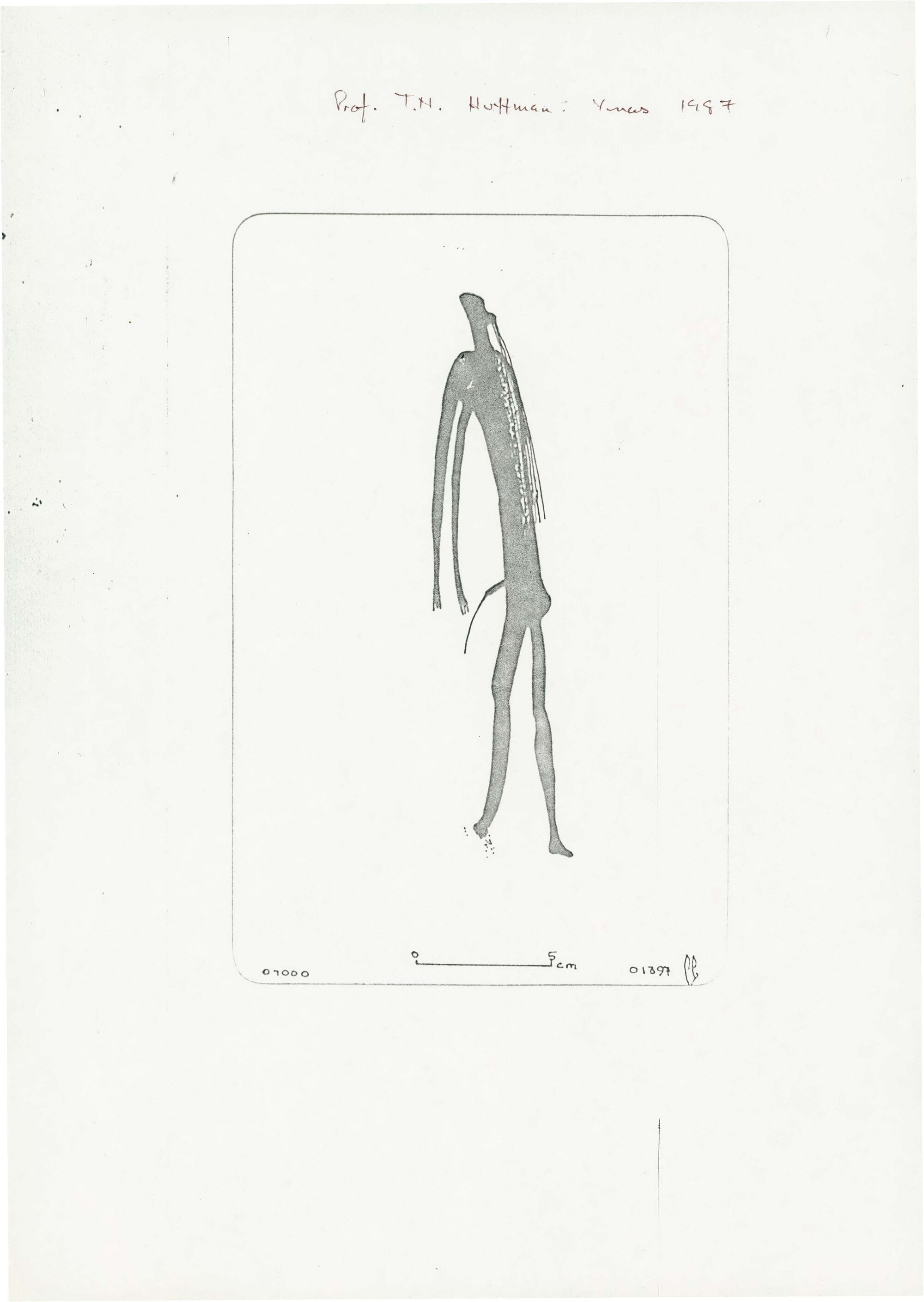 Illustrations_From_Field_Book001_0230