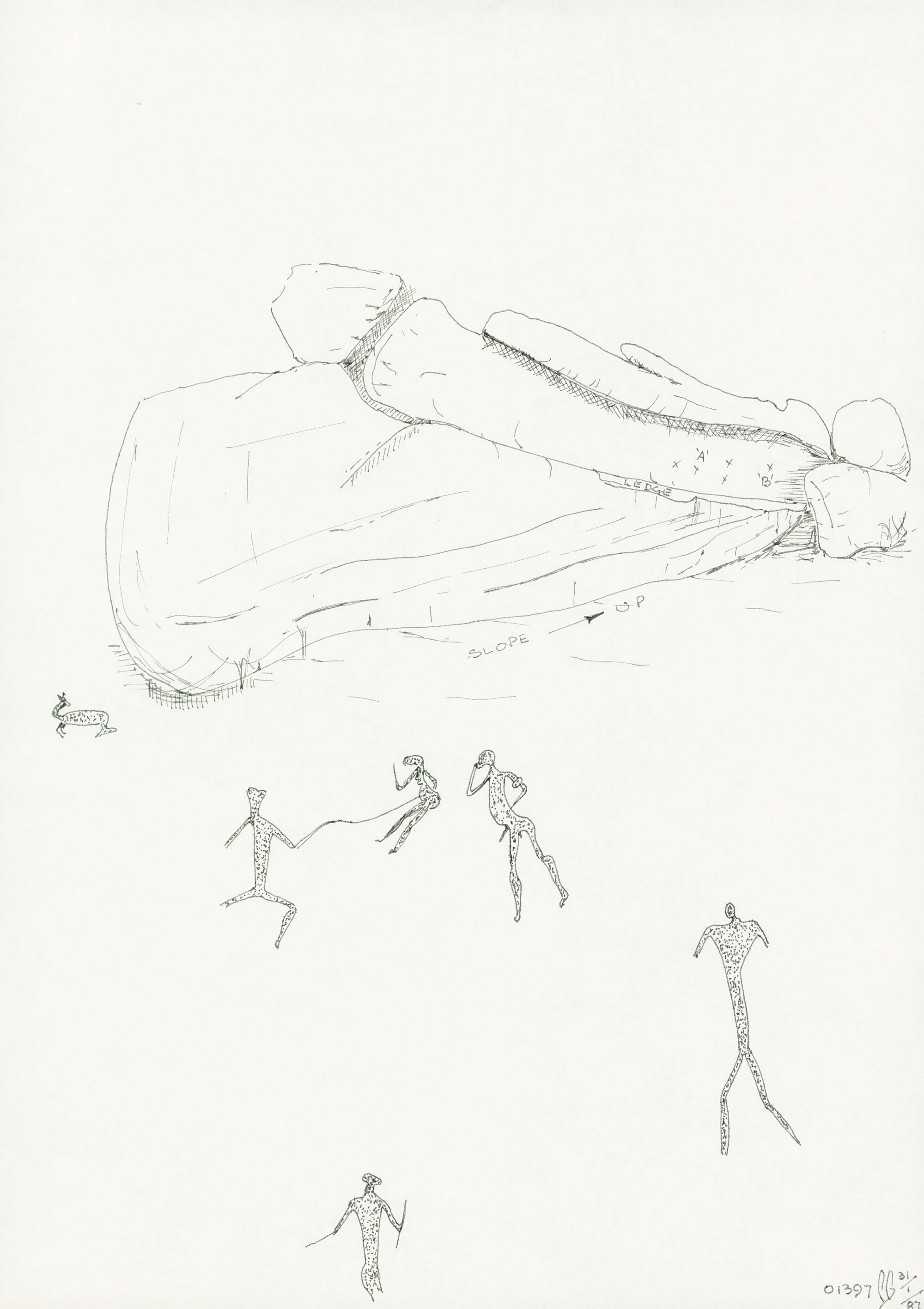 Illustrations_From_Field_Book001_0231