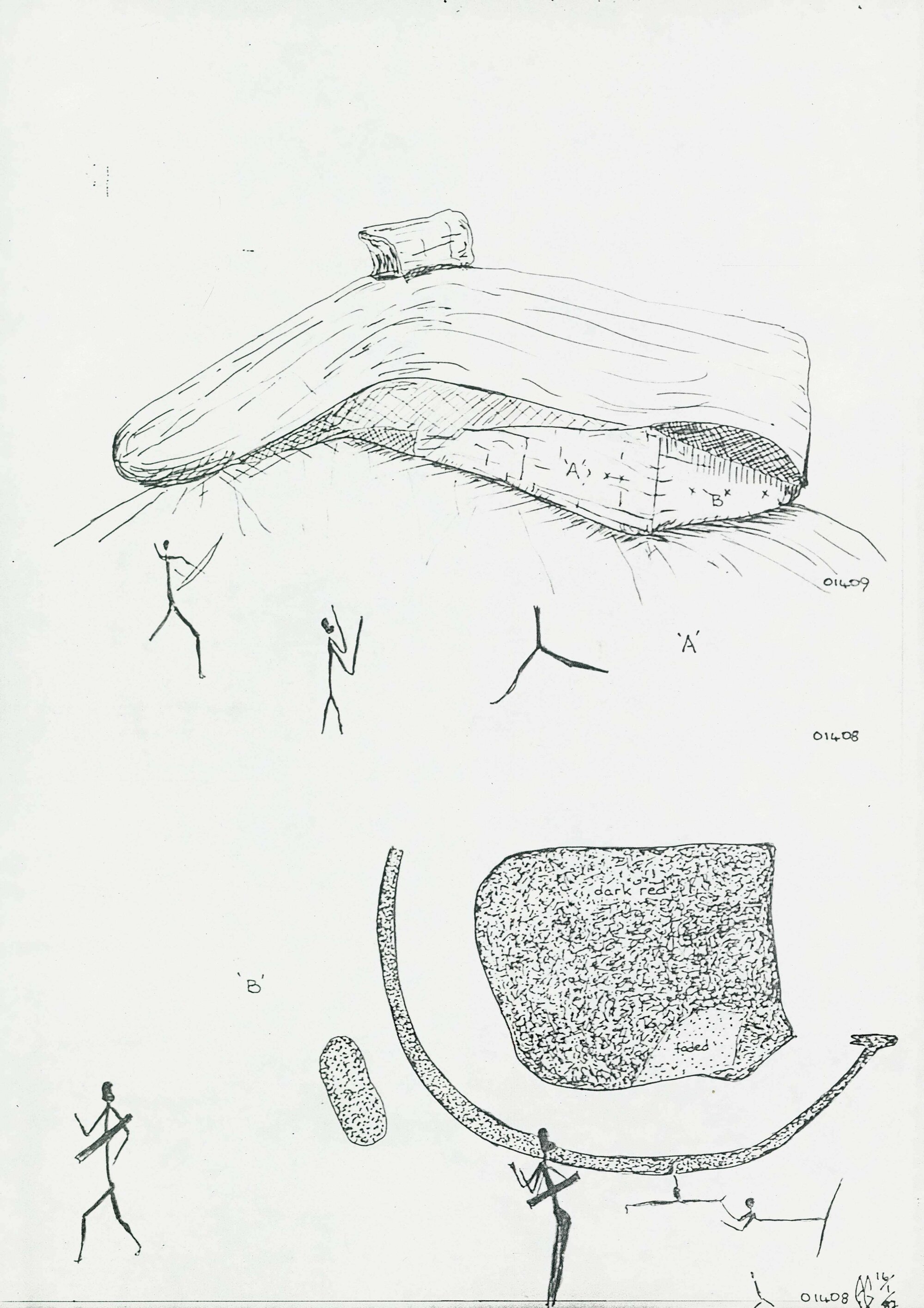Illustrations_From_Field_Book001_0242