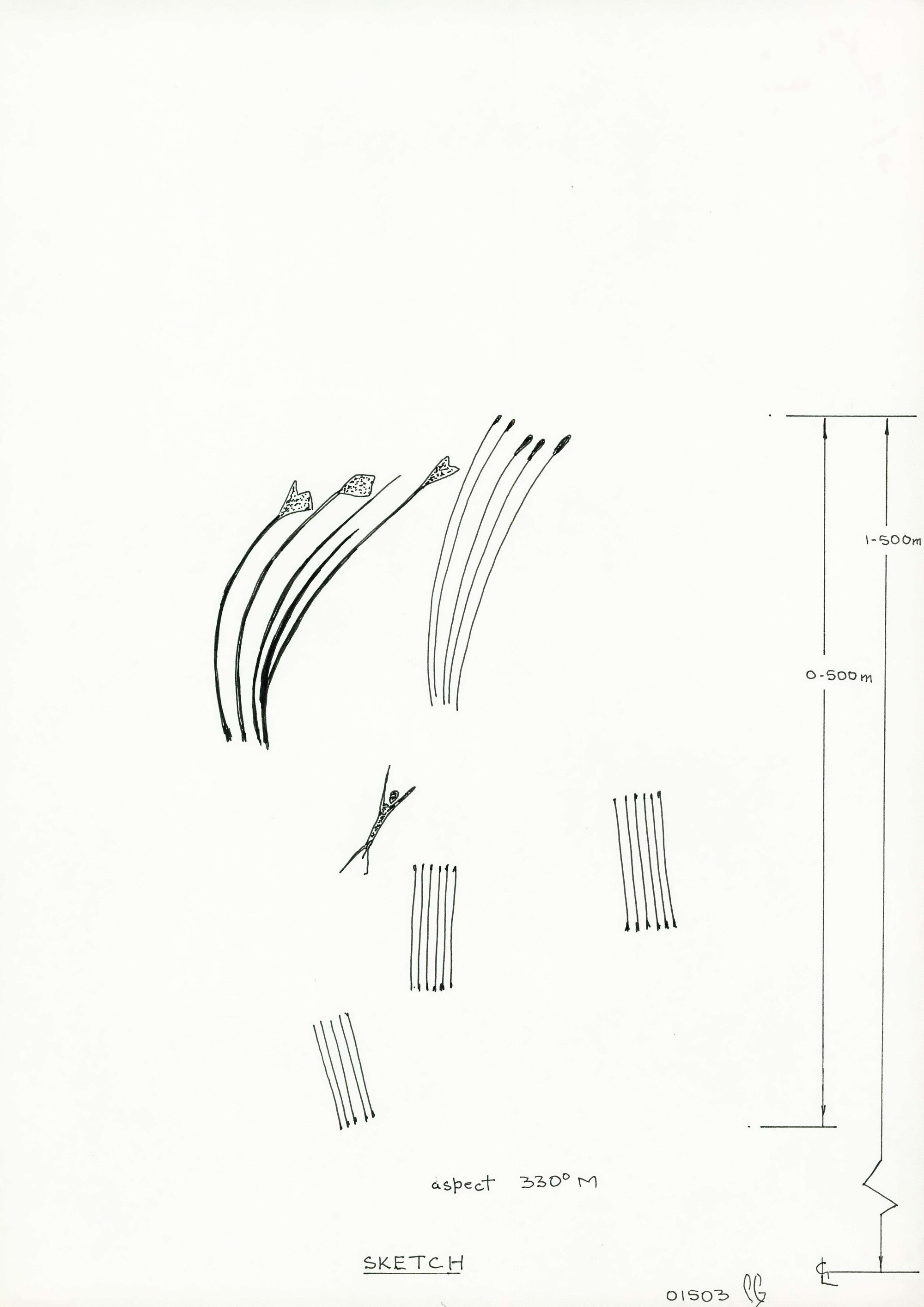 Illustrations_From_Field_Book002_0044