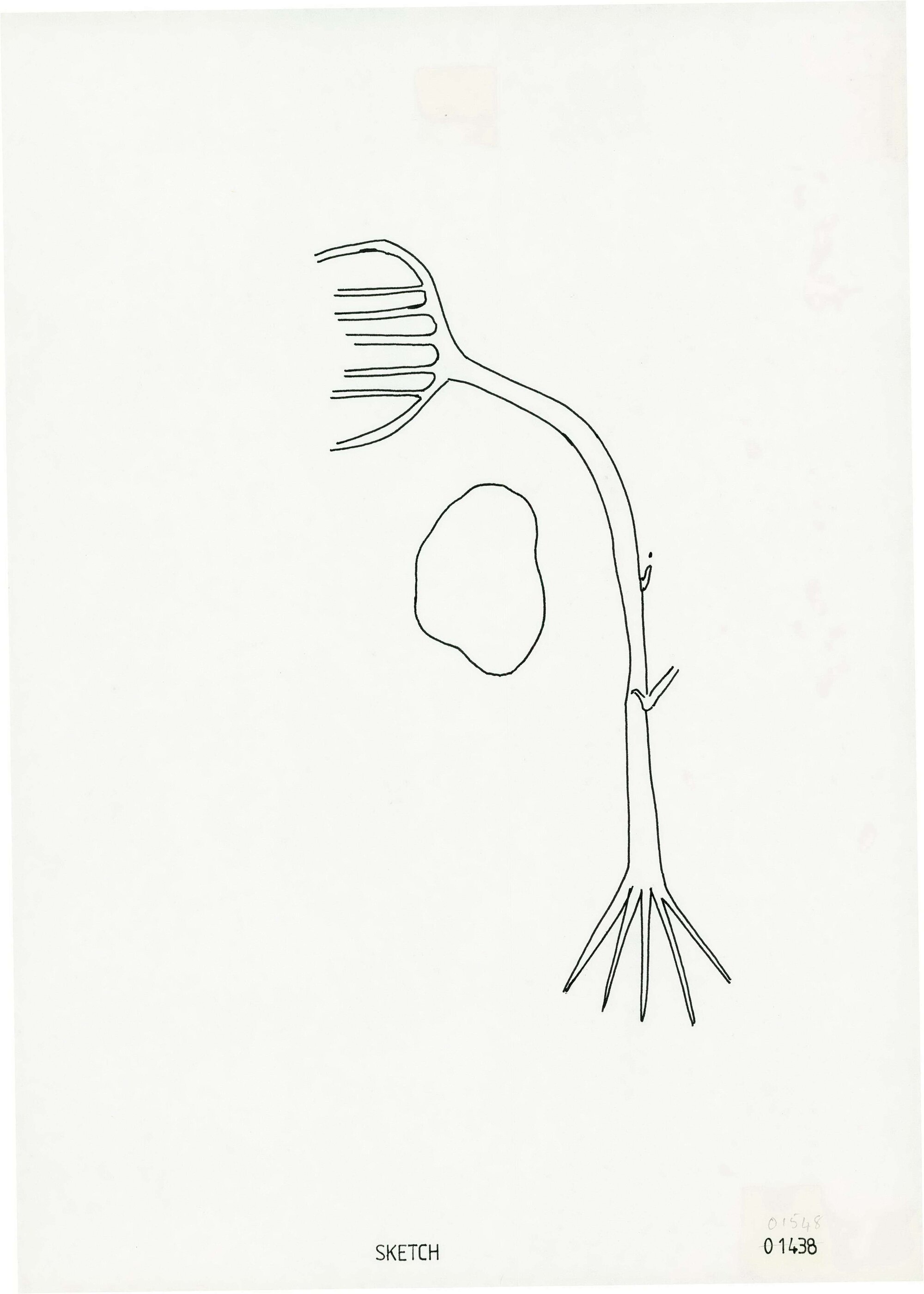 Illustrations_From_Field_Book002_0073