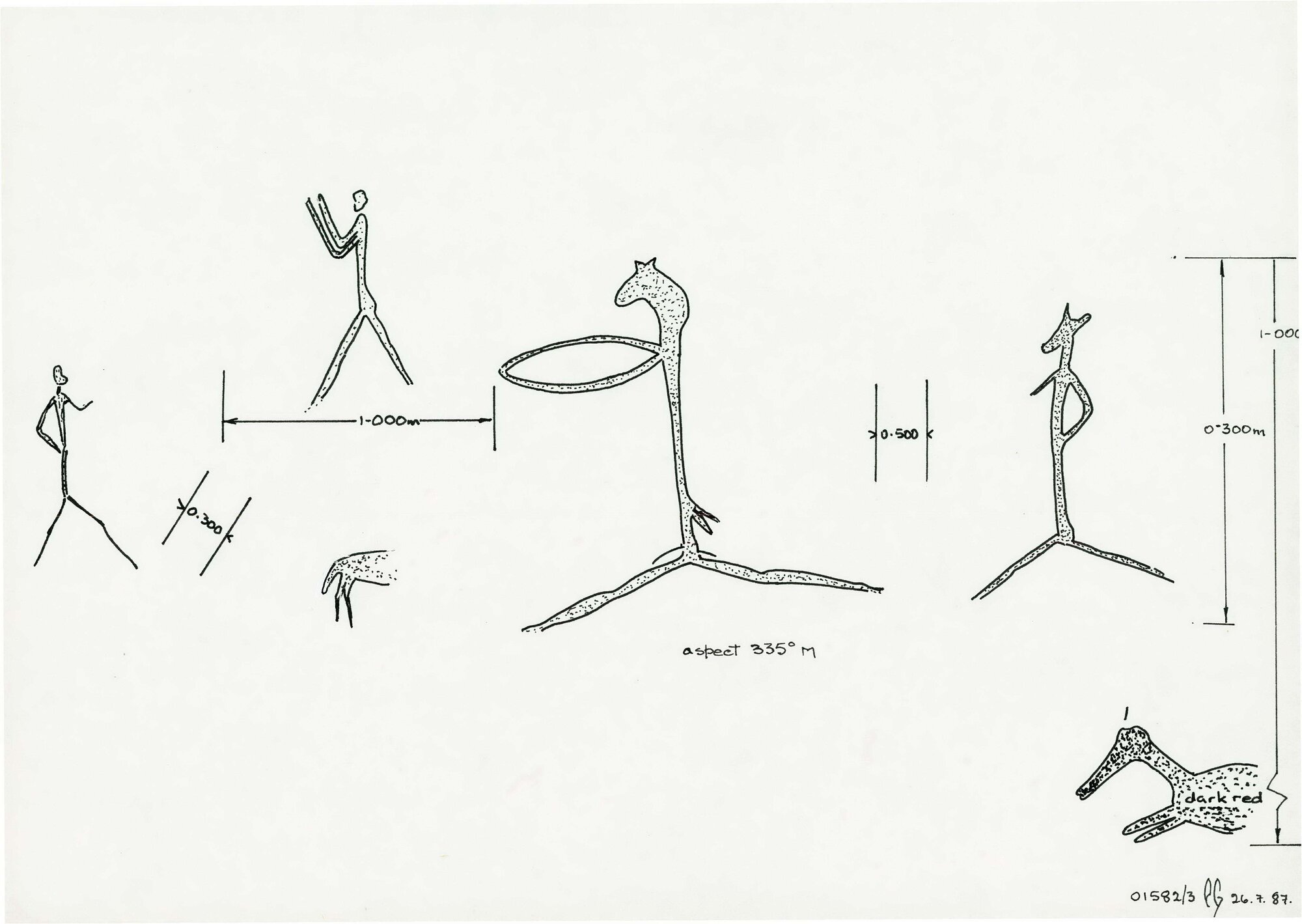 Illustrations_From_Field_Book002_0107