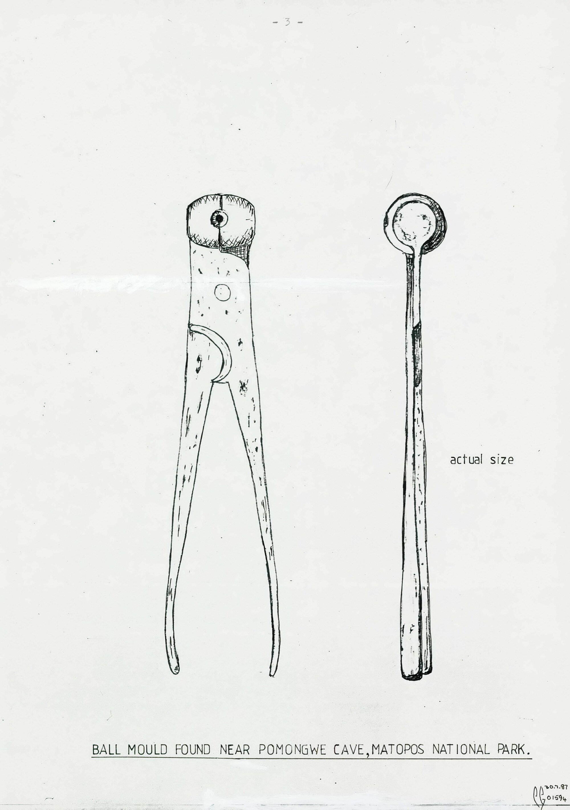 Illustrations_From_Field_Book002_0119