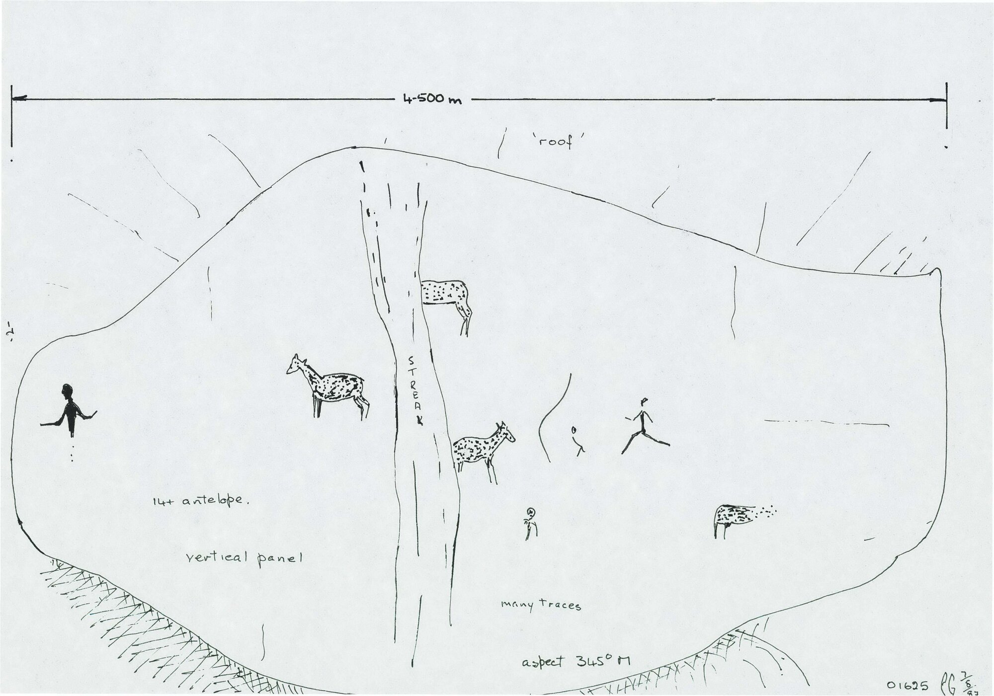 Illustrations_From_Field_Book002_0137