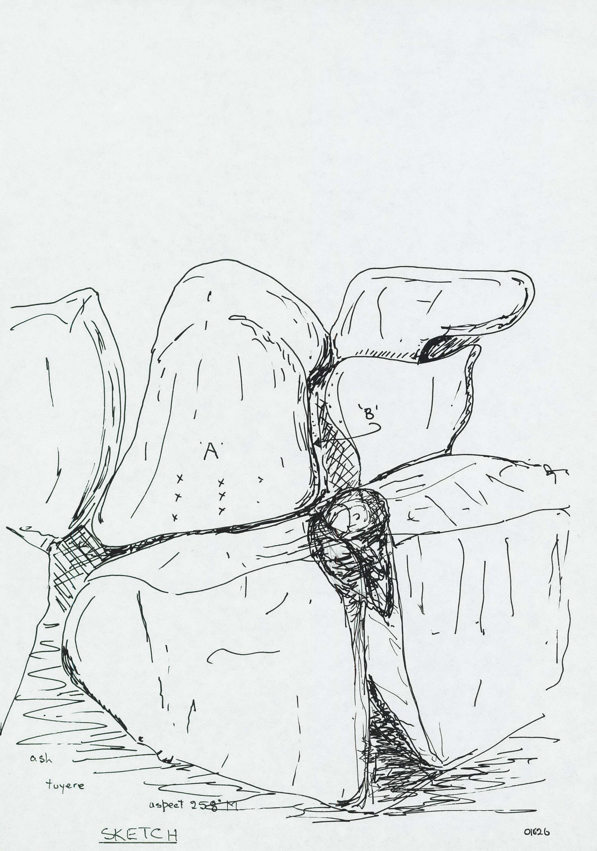 Illustrations_From_Field_Book002_0139