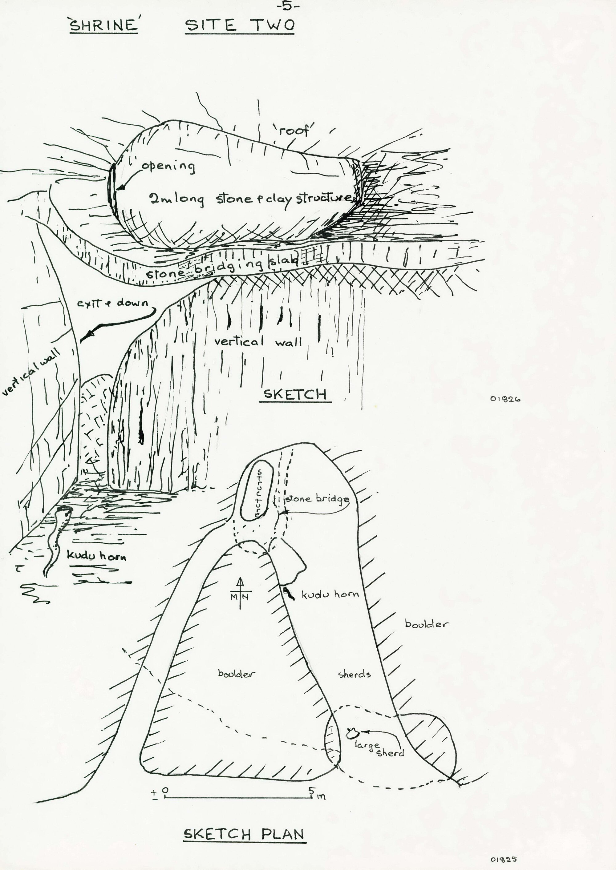 Illustrations_From_Field_Book002_0176