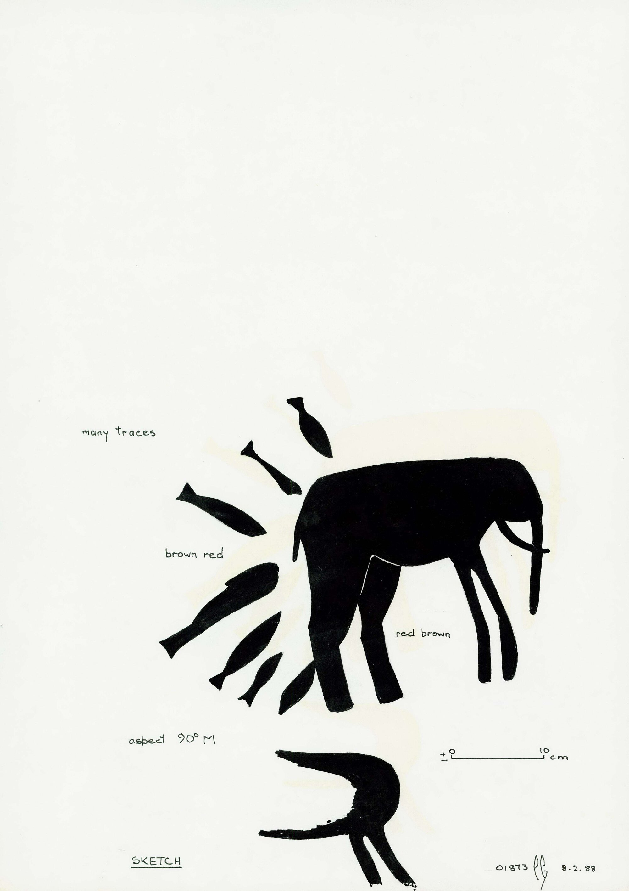 Illustrations_From_Field_Book002_0222