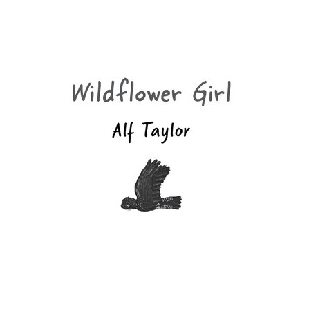 Alf Taylor Manuscript Collection - Short Stories