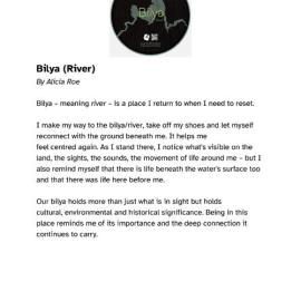 Bilya (Transcript)