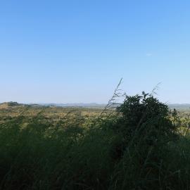 Nyabira 4 2025.03.23 (13)