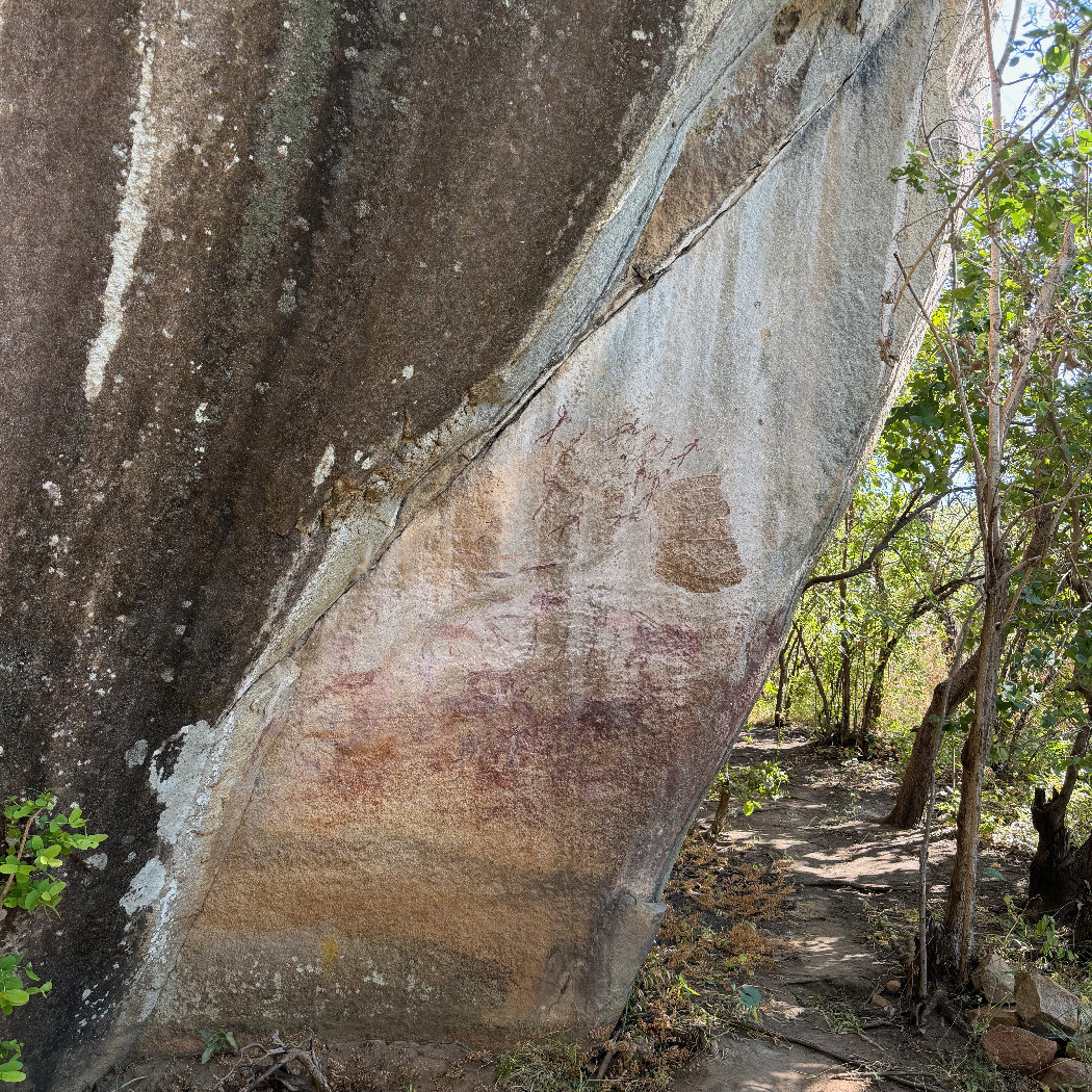 Mumurgwe (Lion's Head)