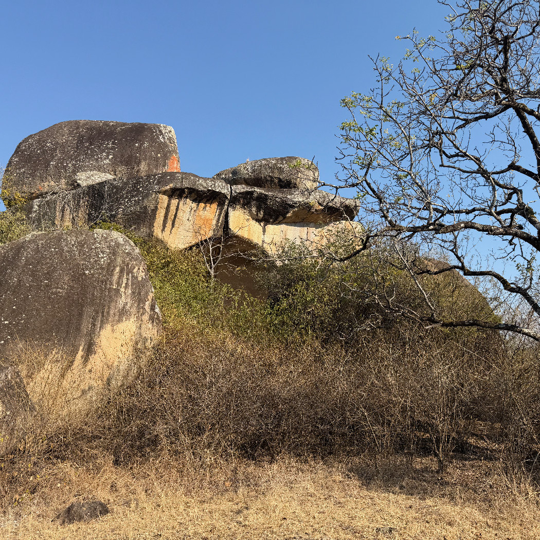 Chamavara