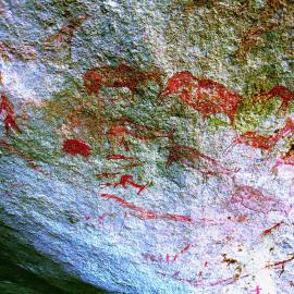 Chikupu Central - 2026-7-14_007