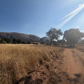 Chikupu Community Site - 2026-7-14_001