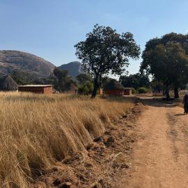 Chikupu Community Site - 2026-7-14_002