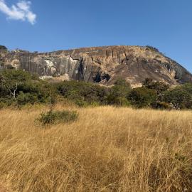 Chikupu Community Site - 2026-7-14_003