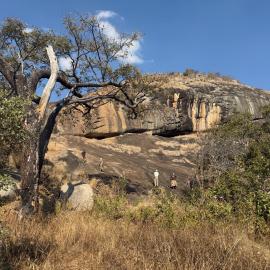 Chikupu Community Site - 2026-7-14_006