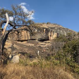 Chikupu Community Site - 2026-7-14_008