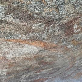 Chikupu Community Site - 2026-7-14_022