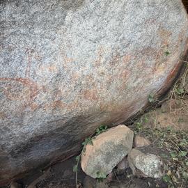 Echo Farm - 2026-7-15_005