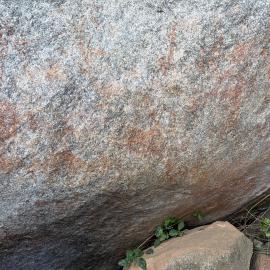 Echo Farm - 2026-7-15_006