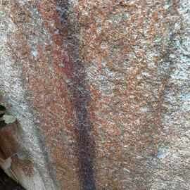 Echo Farm - 2026-7-15_015