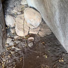 Echo Farm - 2026-7-15_018