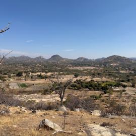 Charewa - 2026-7-17_009