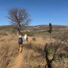 Manemba cave - 2026-7-17_002