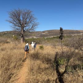Manemba cave - 2026-7-17_003