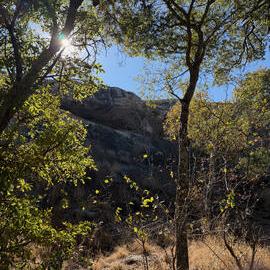 Markwe - 2026-7-20_004