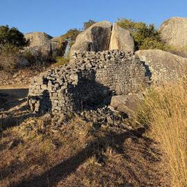 Zvipadze_005