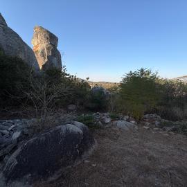 Zvipadze_008