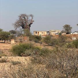 Birchenough Bridge - 2026-7-21_001