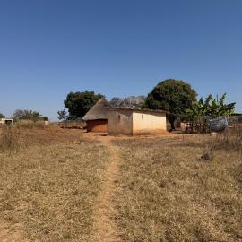 Dandabari 2026-7-22_004