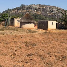 Dandabari 2026-7-22_005