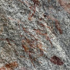 Dandabari 2026-7-22_019
