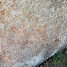 2028 B3 035 (White Rhino) 2026-7-25_006